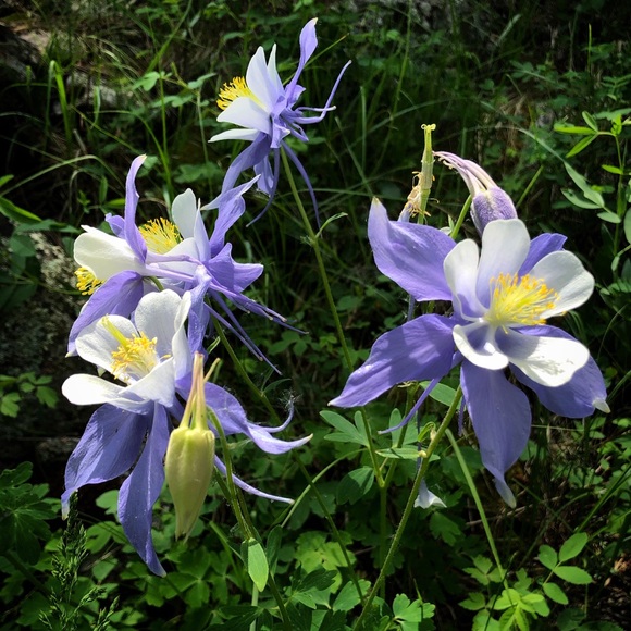 About The Seller - Picture 3 of 4